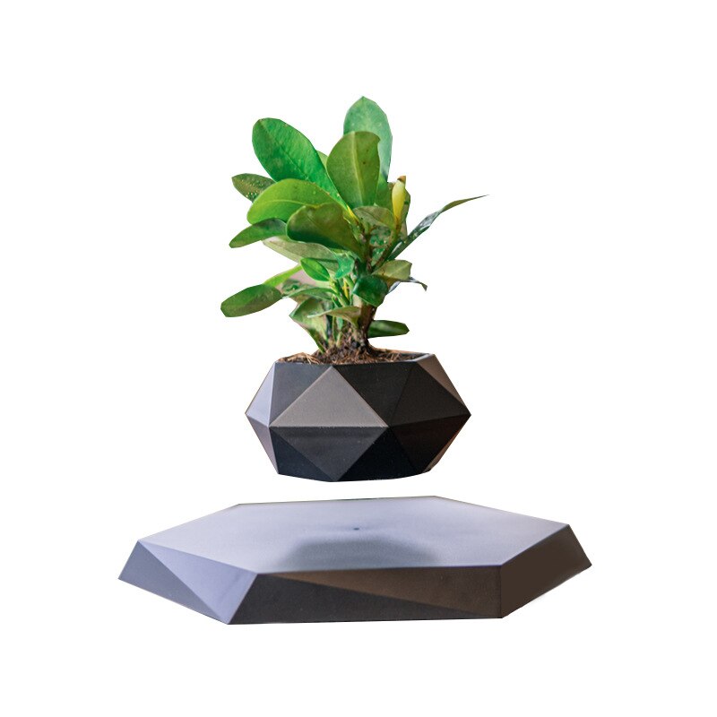 LevitaGrow Air Bonsai Pot: Magical Floating Planter for Elevated Home Decor