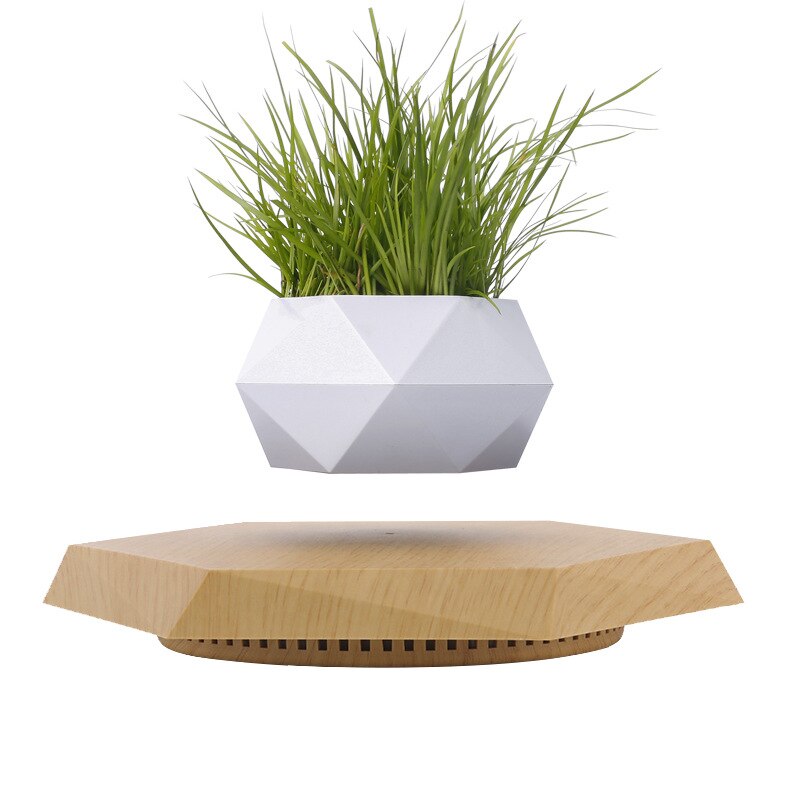 LevitaGrow Air Bonsai Pot: Magical Floating Planter for Elevated Home Decor