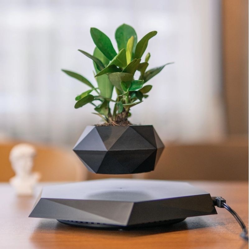 LevitaGrow Air Bonsai Pot: Magical Floating Planter for Elevated Home Decor